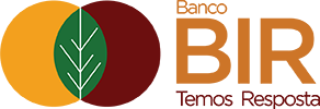 Logo BIR